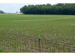 Property photo 13 - LAND AUCTION - 700+/- ACRES OFFERED IN 16 TRACTS IN ALLEN COUNTY, INDIANA